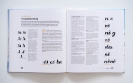 Handbuch Handlettering von Chris Campe – Eigene Buchstaben und illustrative Schrift gestalten. Haupt Verlag, 2017, ISBN 978-3-258-60165-6 All Things Letters – Chris Campe, Hamburg