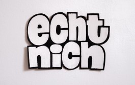 »echt nich« Demo-Schild gegen die AfD, Text und Lettering von Chris Campe All Things Letters – Chris Campe, Hamburg