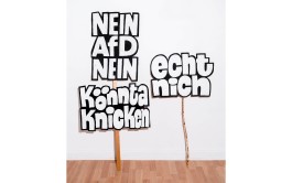 »NEIN AfD NEIN«, »könnta knicken« und »echt nich« Demo-Schilder gegen die AfD, Text und Lettering von Chris Campe All Things Letters – Chris Campe, Hamburg