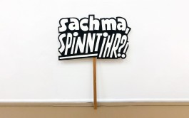 »sach ma, spinnt ihr?!« Demo-Schild gegen die AfD, Text und Lettering von Chris Campe All Things Letters – Chris Campe, Hamburg