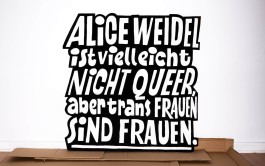 »Alice Weidel ist vielleicht nicht queer, aber trans Frauen sind Frauen.« Demoschild gegen die AfD, Text und Lettering von Chris Campe All Things Letters – Chris Campe, Hamburg