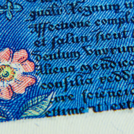 Typostammtisch Hamburg Kurzvorträge am 2.4.26, David Kowalski: Geldscheingrafik All Things Letters – Chris Campe, Hamburg